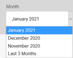 This image shows the Month drop-down list.