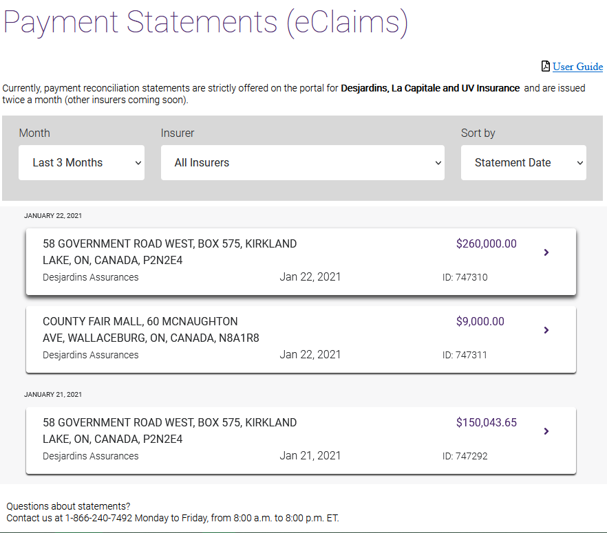 Viewing Statements Independent Providers