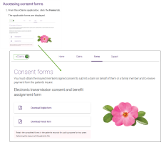 How to enlarge a graphic in the eClaims learning corner