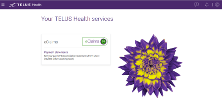 The Provider Portal homepage.
